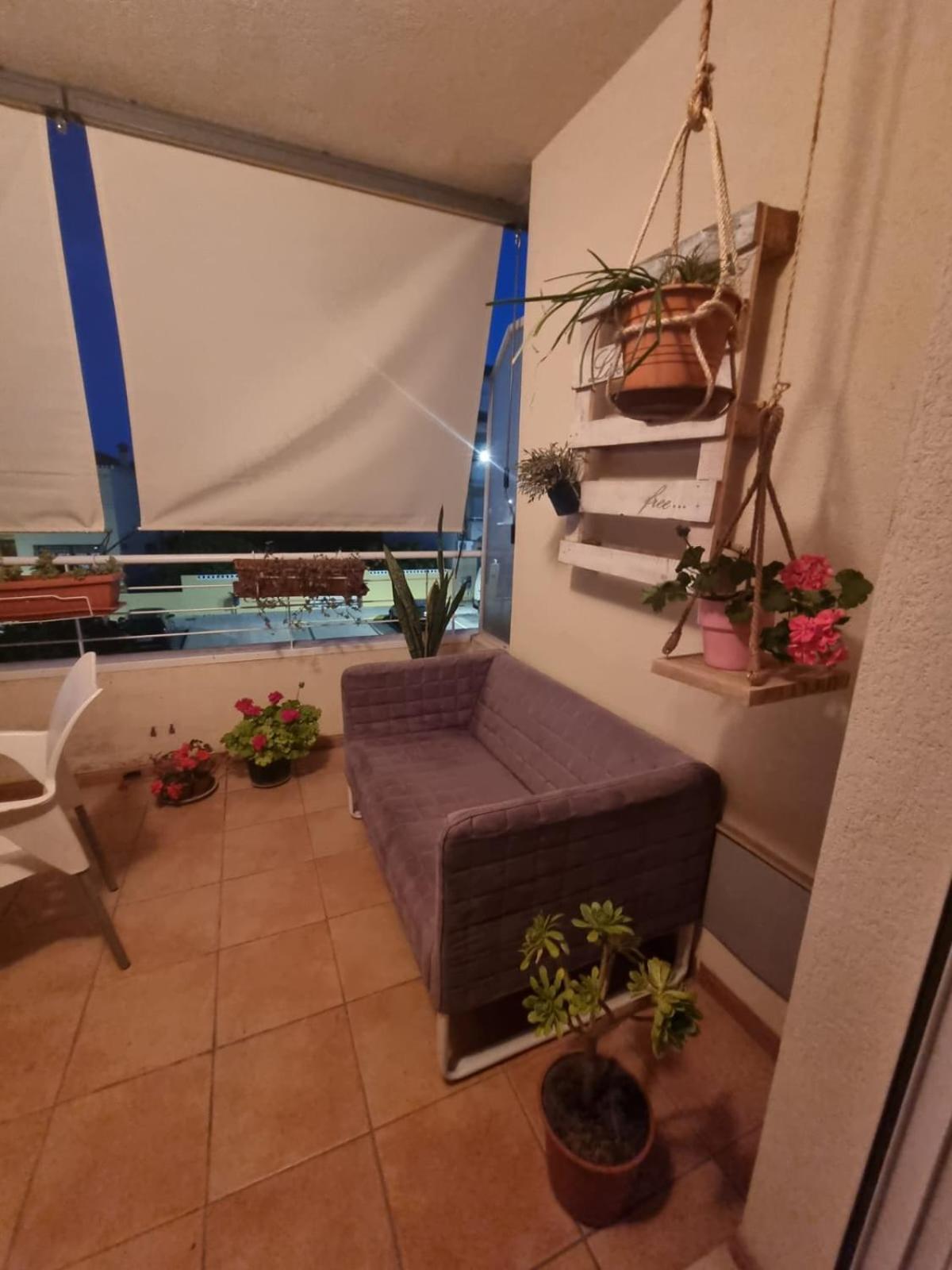 Piso Fabuloso En Homestay